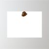 24" x 18" Corrugated Plastic Sign Thumbnail
